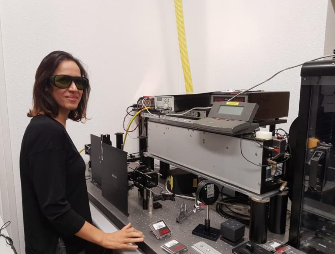 Frontend Architecture