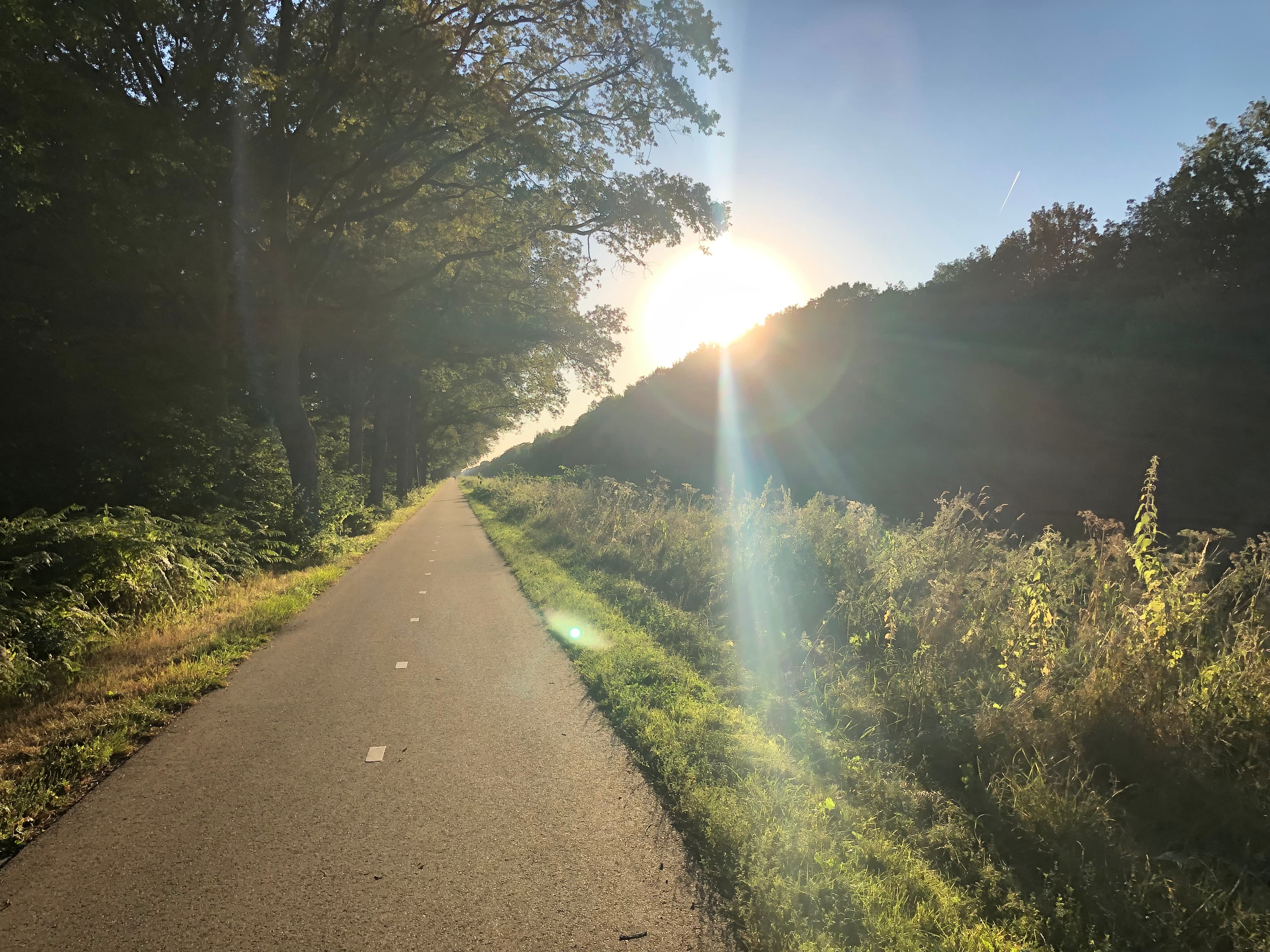 Content Feature Image