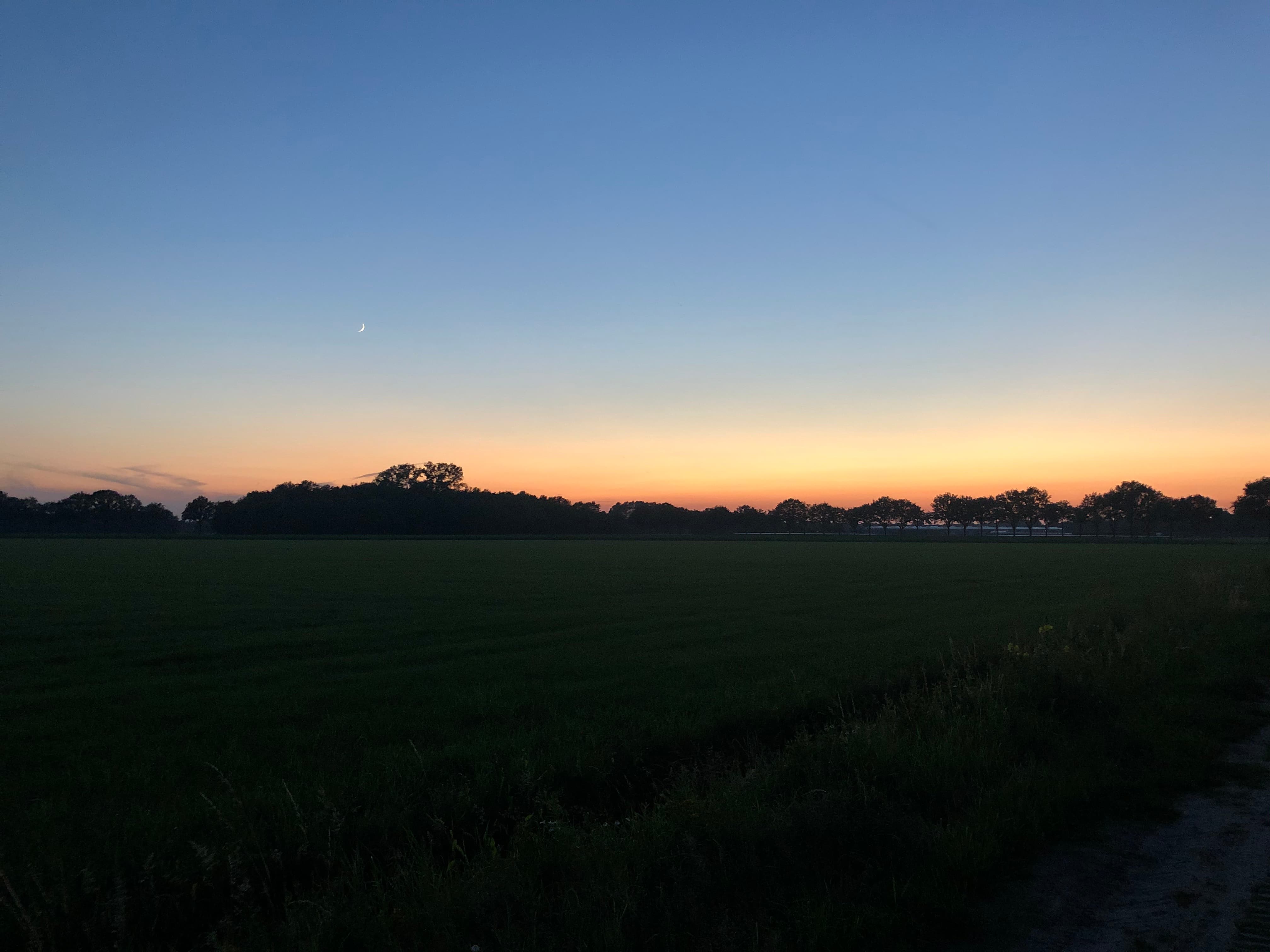 Content Feature Image