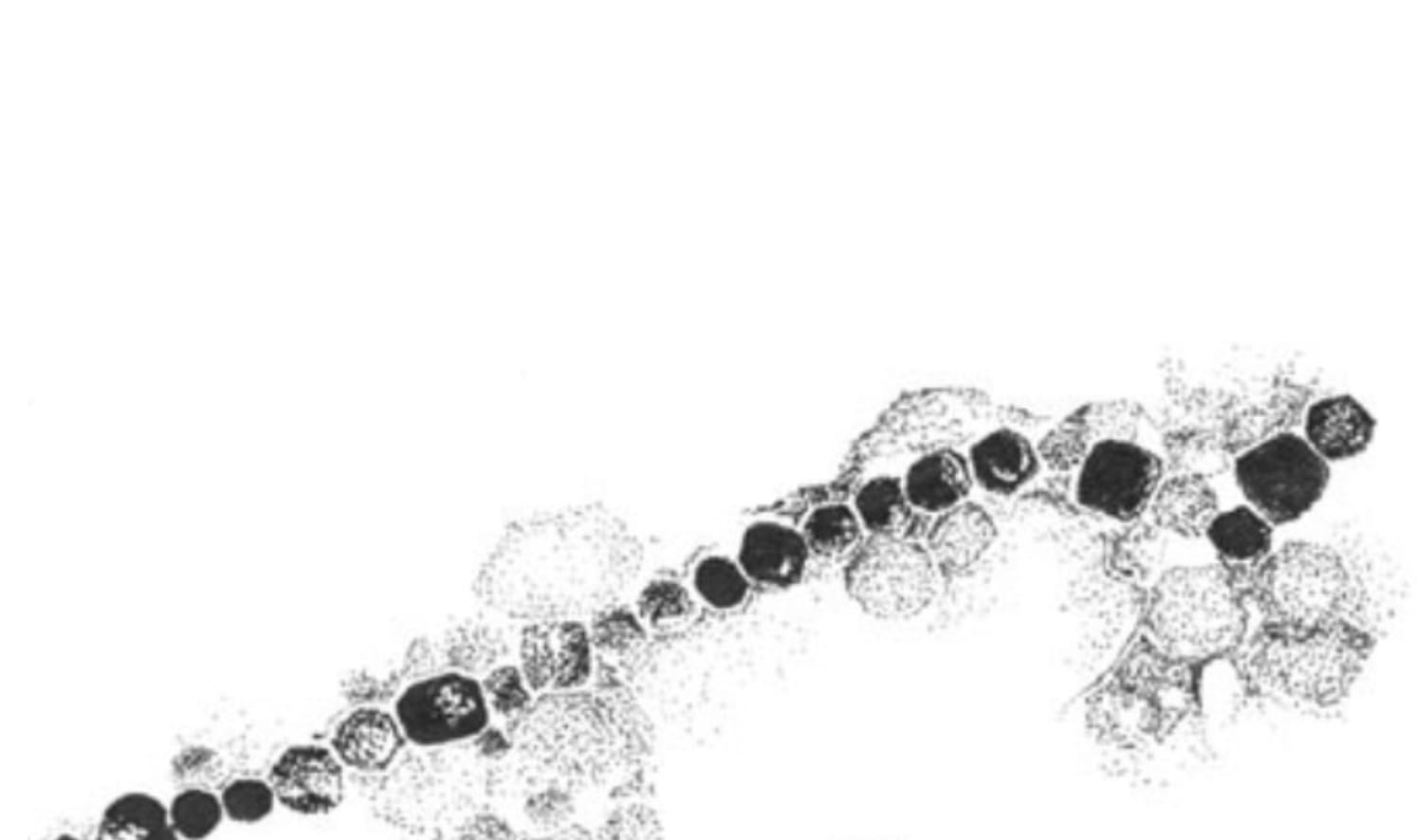 Biomaterials Research