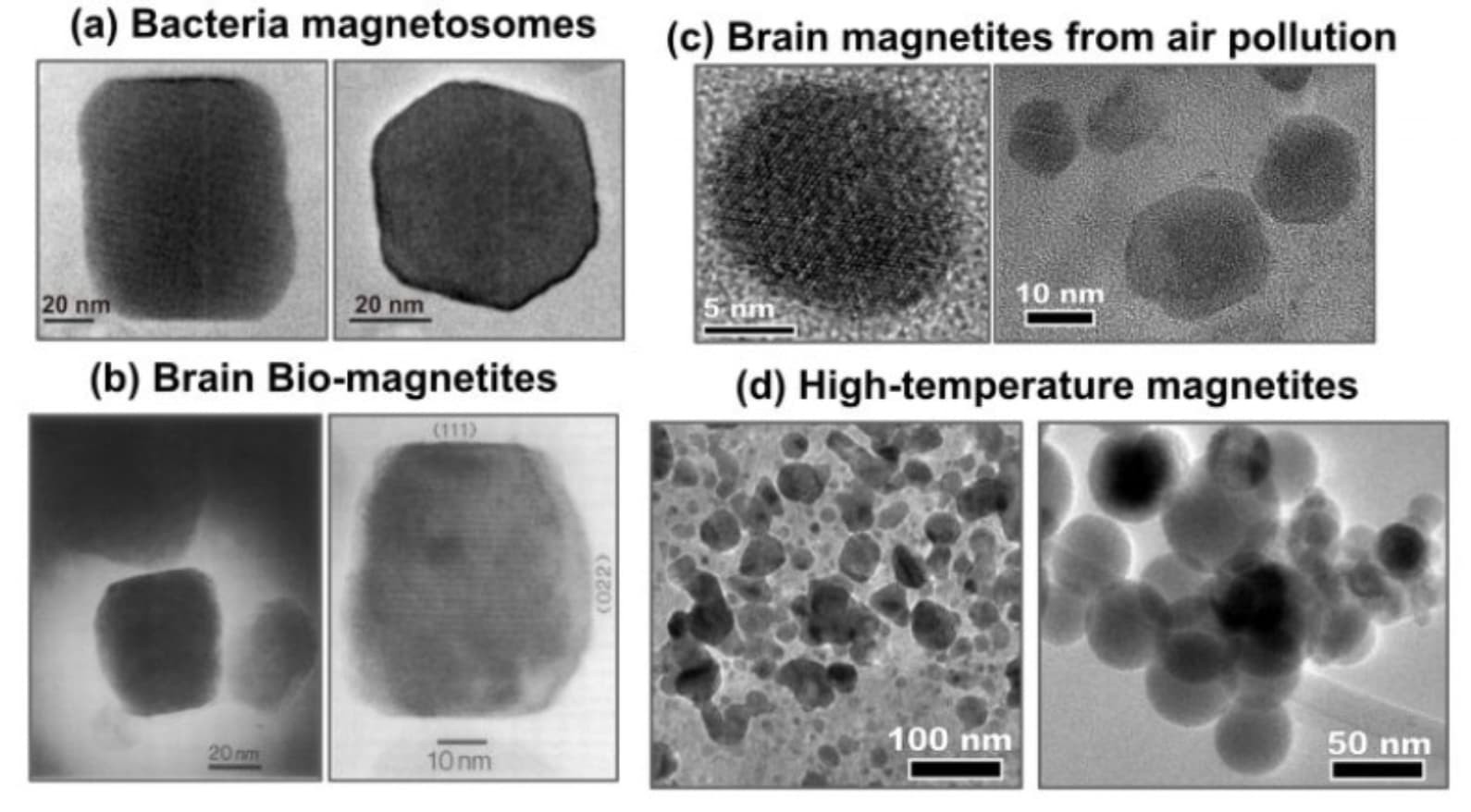 Content Feature Image