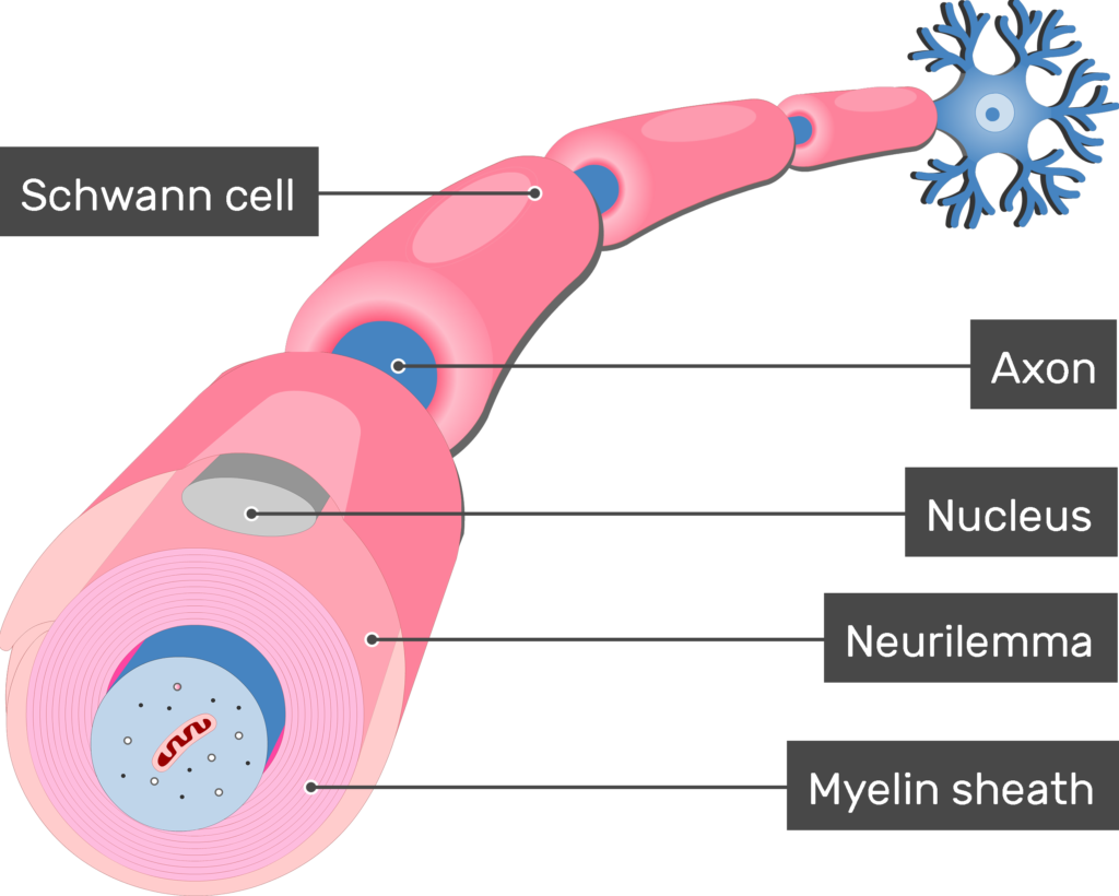 Content Feature Image