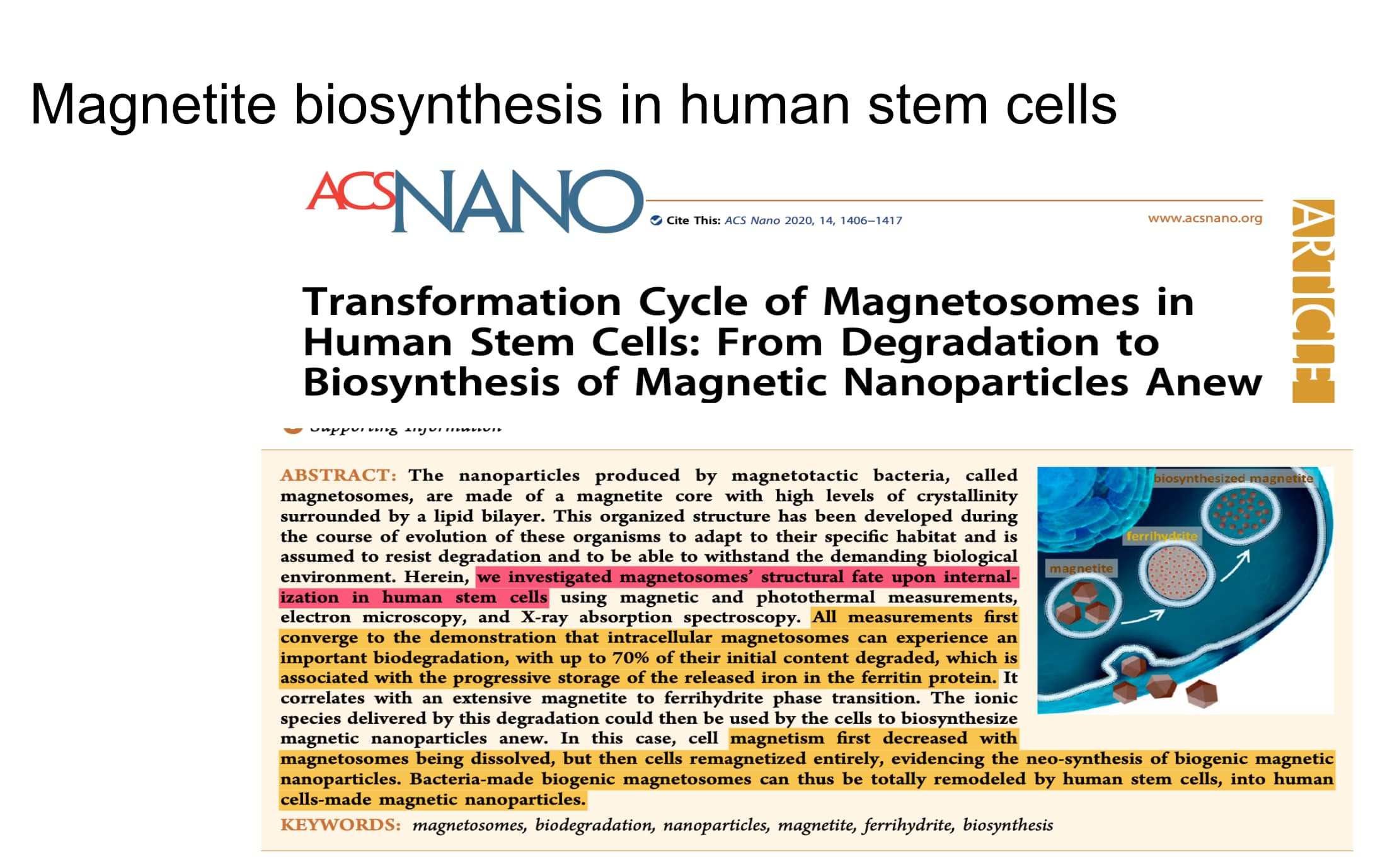 Content Feature Image